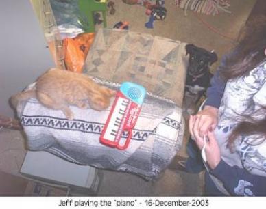 Cat Trick Playing Piano Jeff The Kittey 2003-12-16